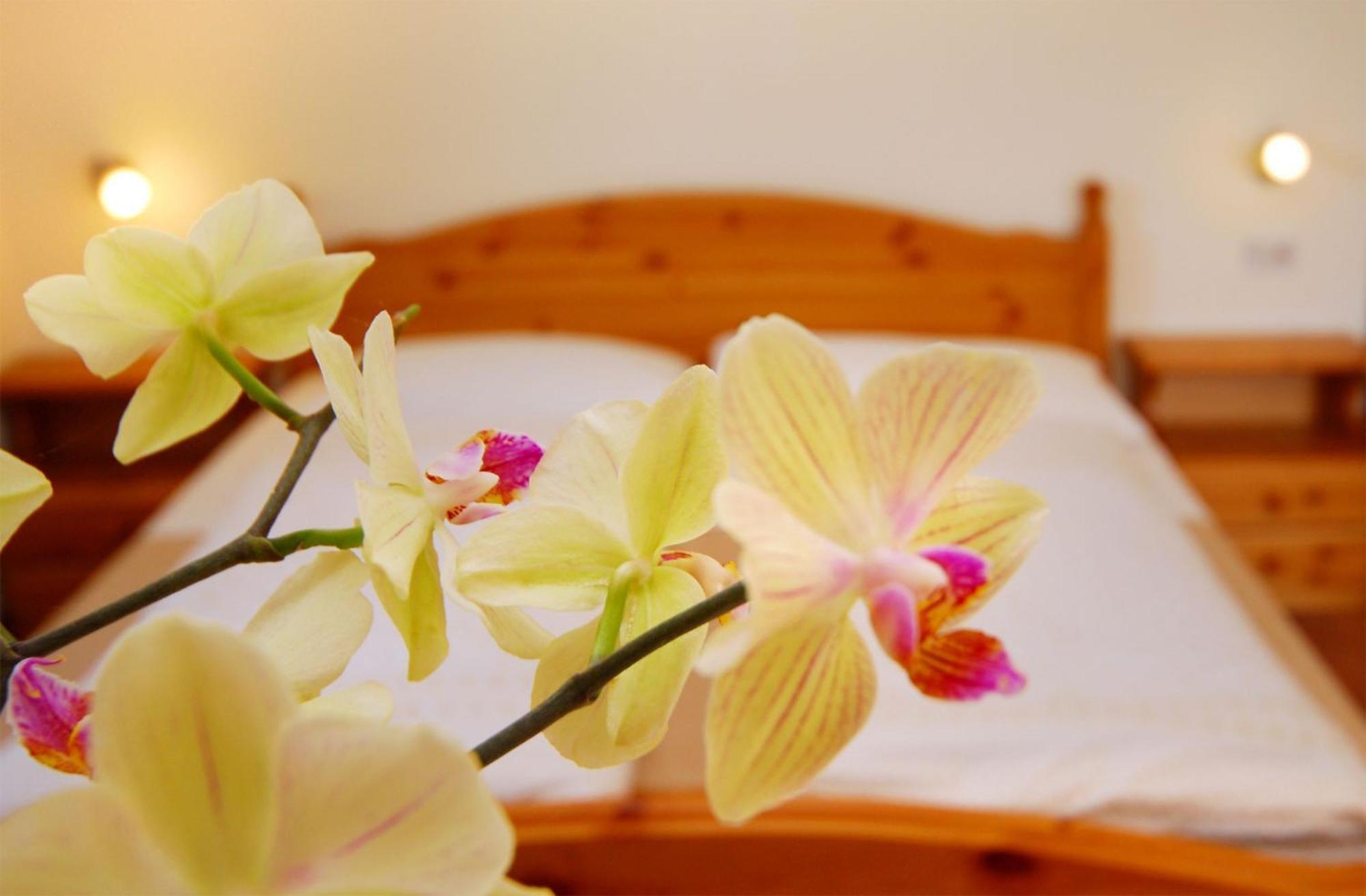 Bed and Breakfast Garni Karlegger Seis am Schlern Zimmer foto